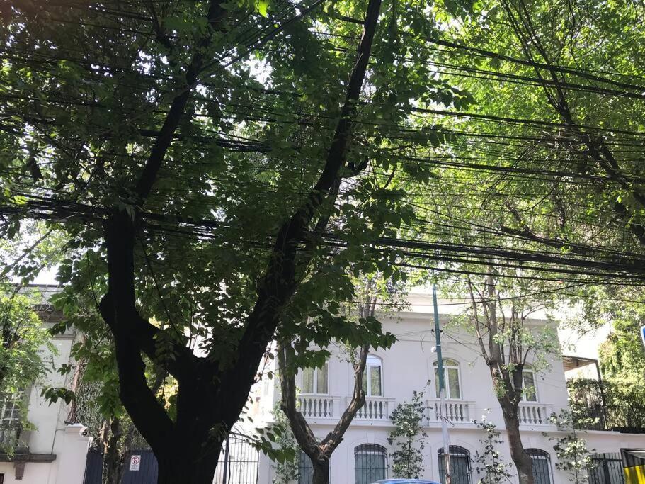 Excellent Location Renovated Apt. Roma/Condesa 1 Apartment Mexico City Ngoại thất bức ảnh